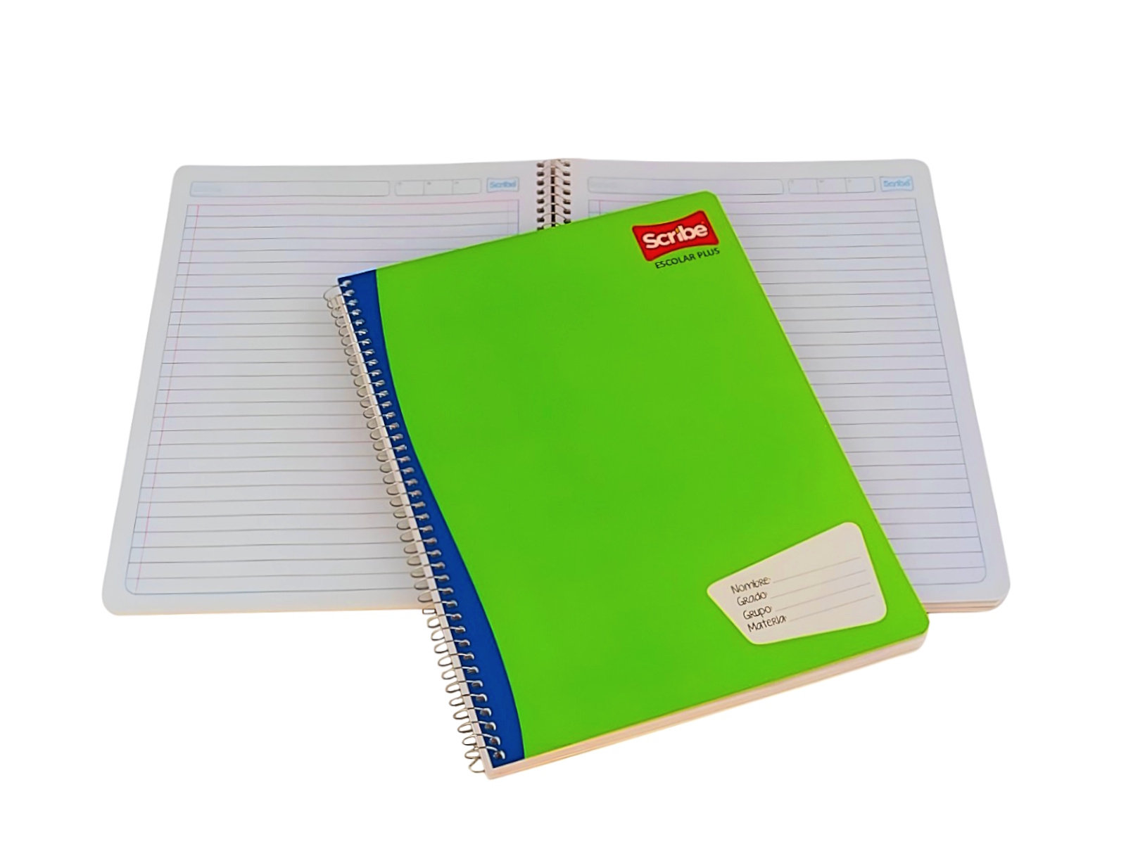 CUADERNO PROF CLASICO 100 HJS RAYA 2970 (7970) SCRIBE       