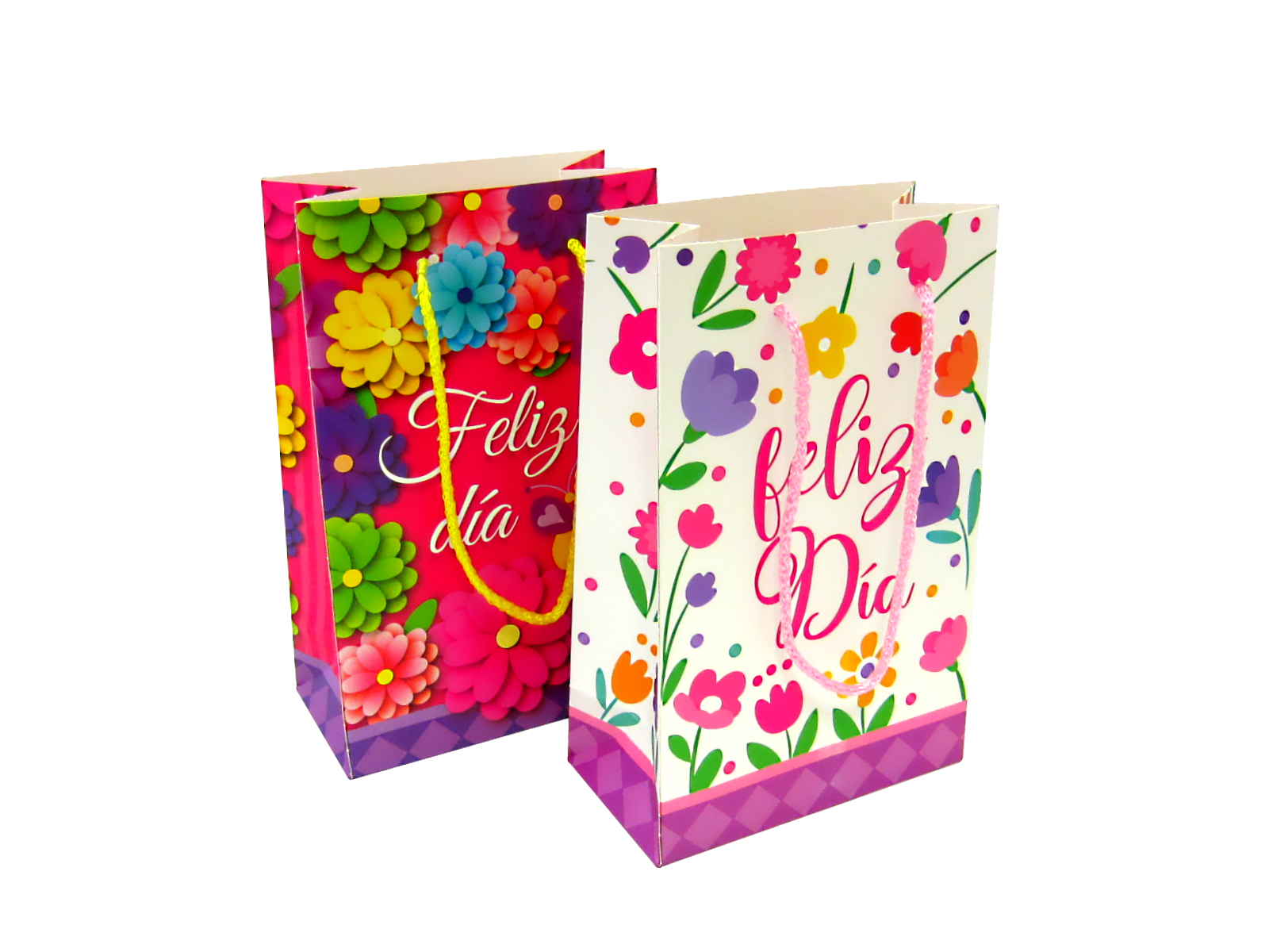 BOLSA REGALO CHICA FELIZ DIA 847-5467                       