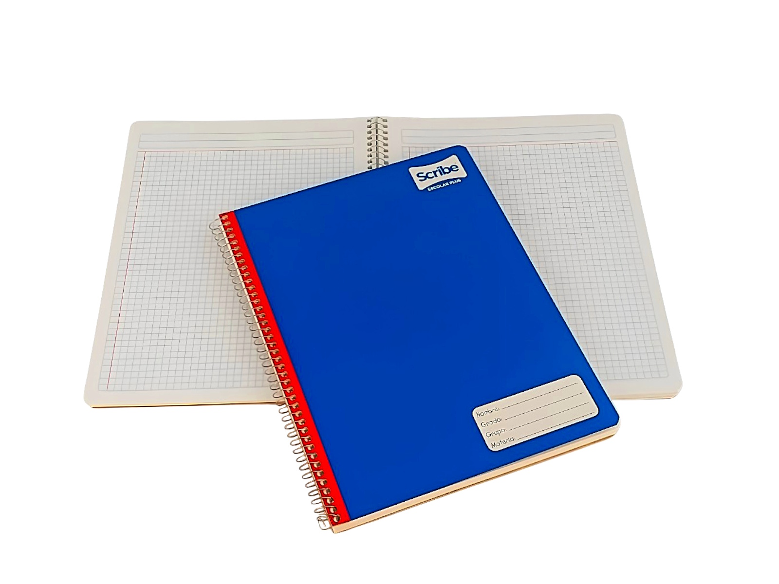 CUADERNO PROF CLASICO 100 HJS 5MM 7972 (2972) SCRIBE        